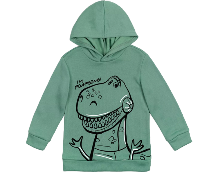 Boys Hoodie