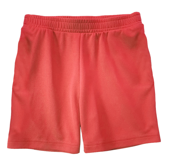 Toddler Boy Play Shorts Sizes 18M-5T
